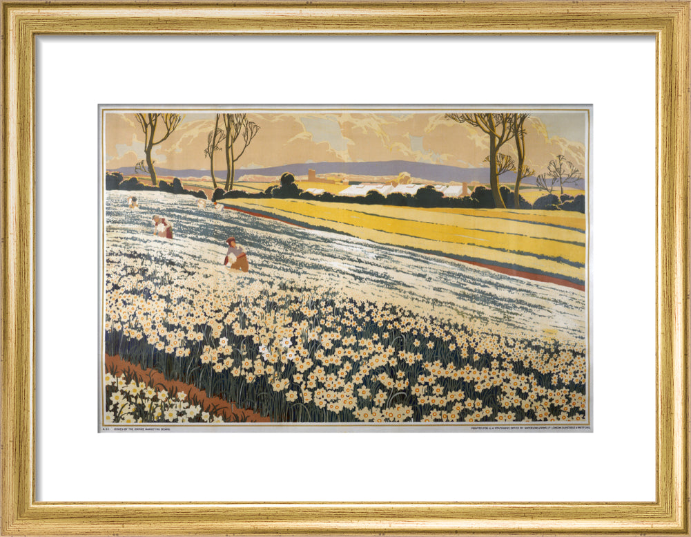 British Bulbs in a Field