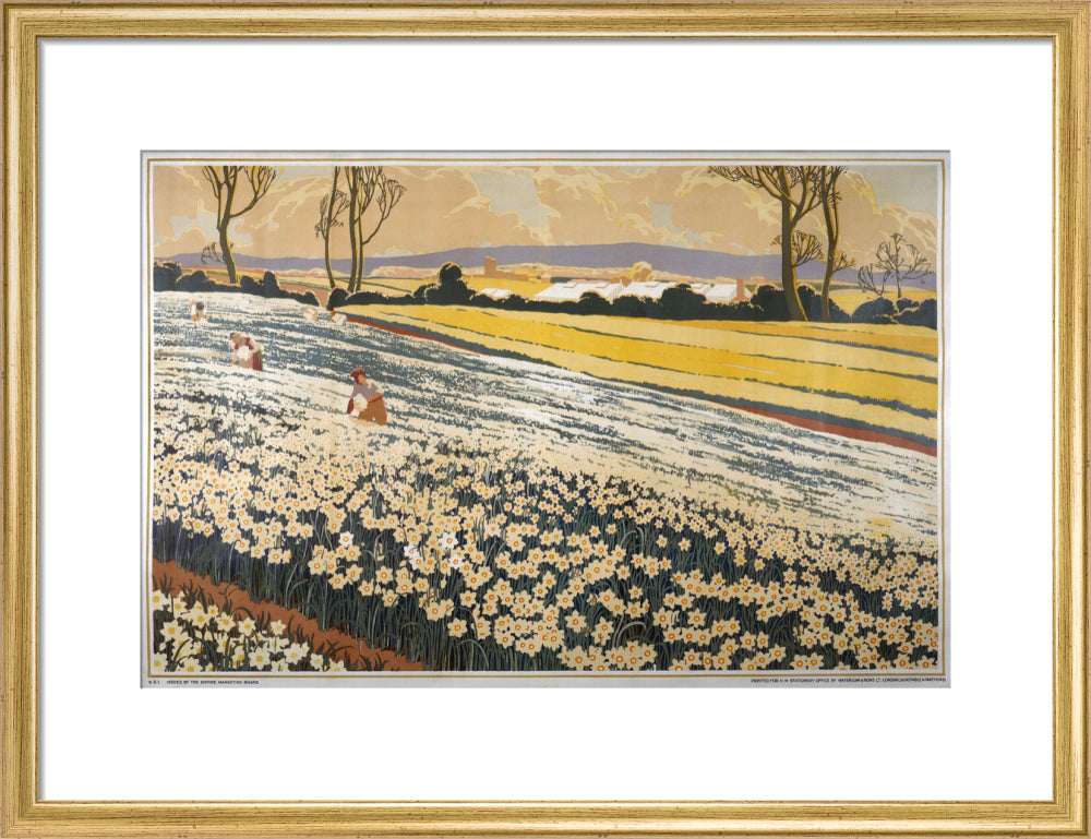 British Bulbs in a Field