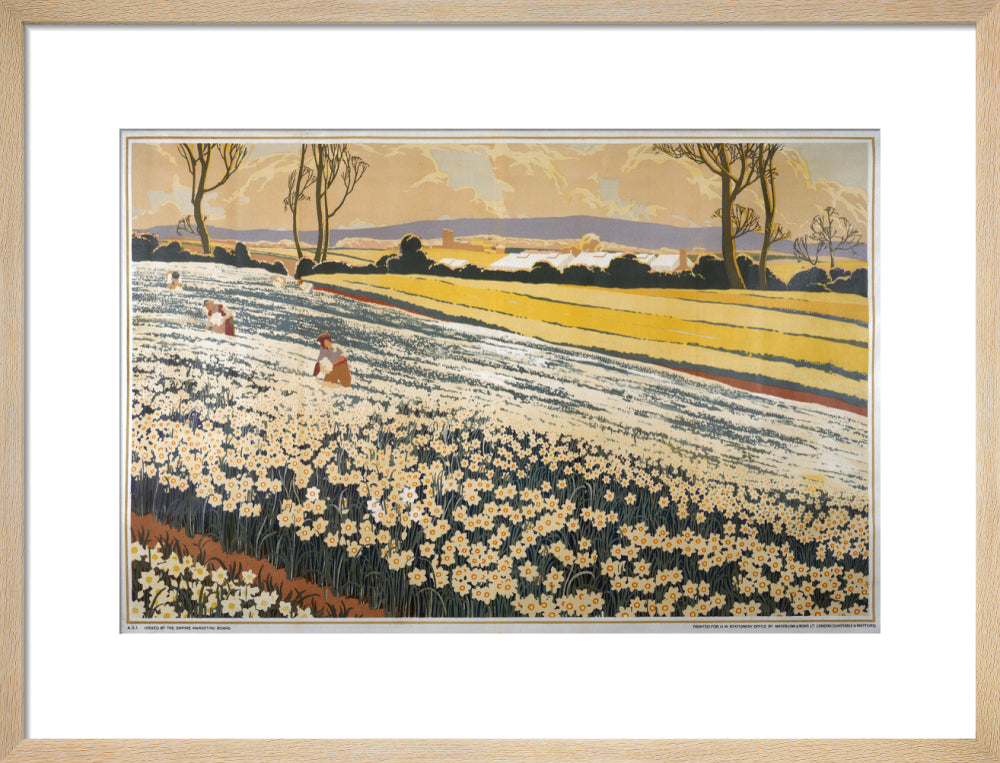 British Bulbs in a Field