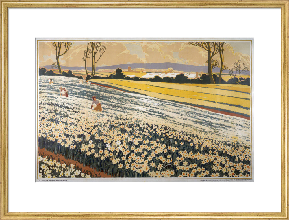 British Bulbs in a Field