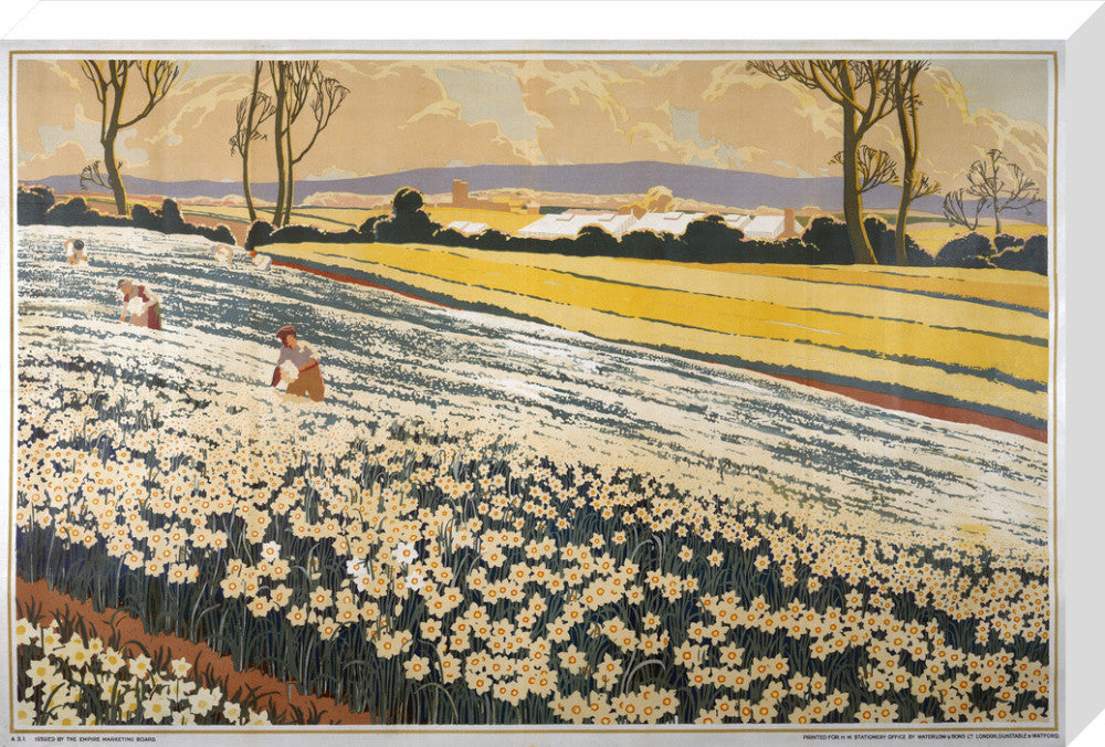 British Bulbs in a Field