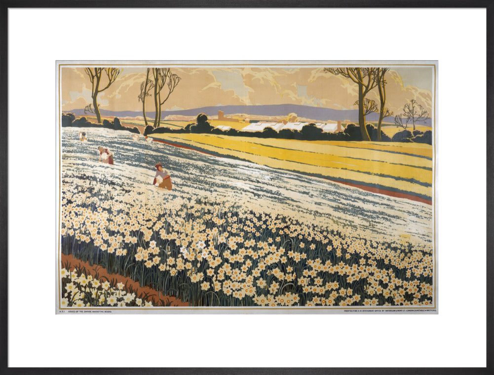 British Bulbs in a Field