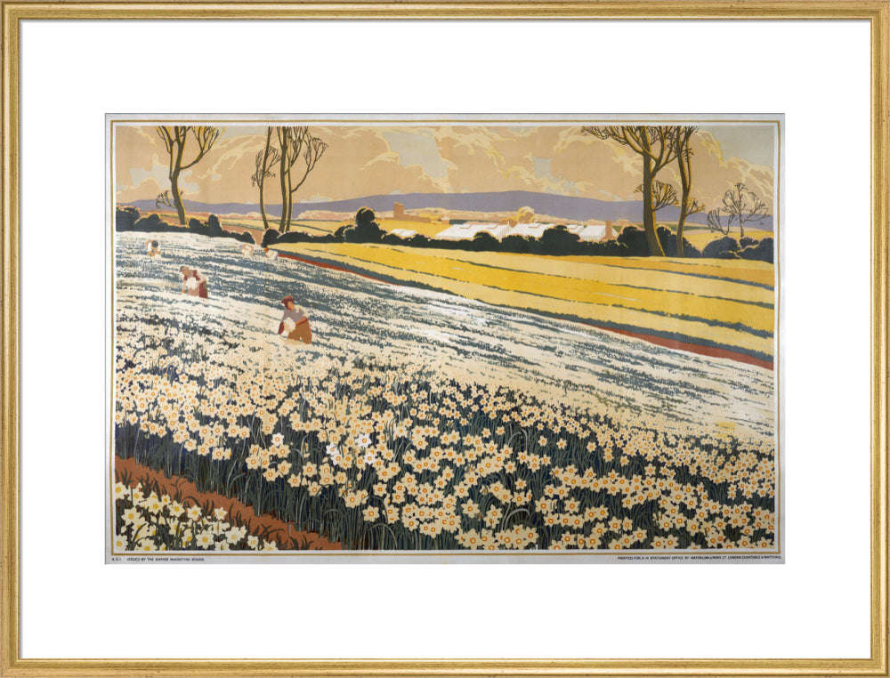 British Bulbs in a Field