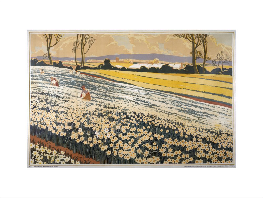 British Bulbs in a Field