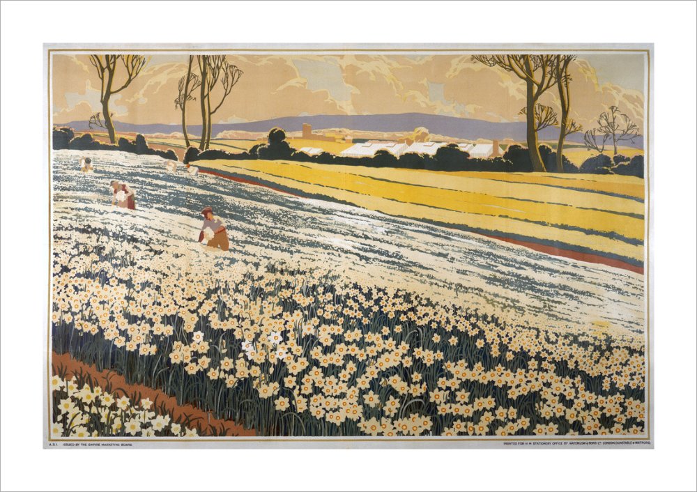 British Bulbs in a Field