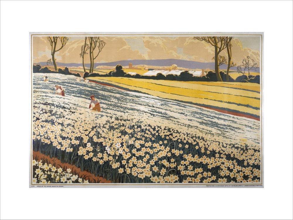 British Bulbs in a Field