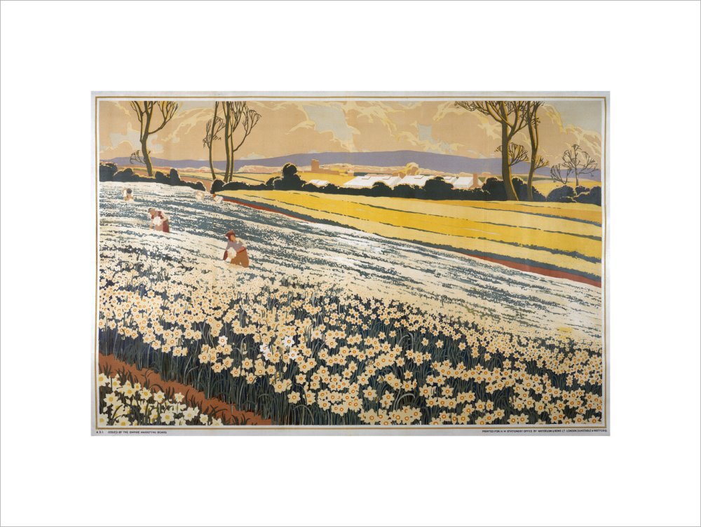 British Bulbs in a Field