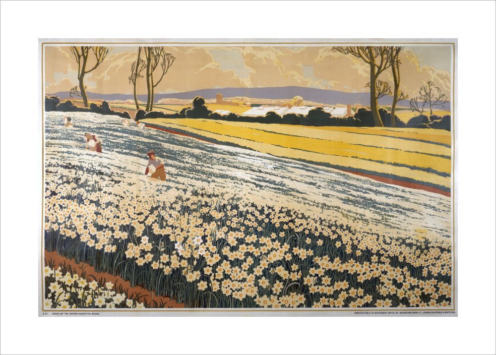 British Bulbs in a Field