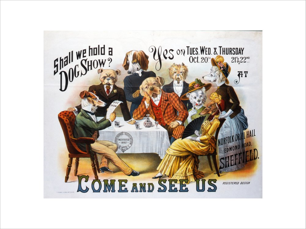 Dog Show Poster