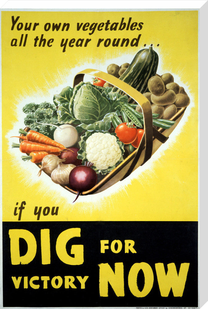 Your Own Vegetables All the Year Round if You Dig For Victory Now
