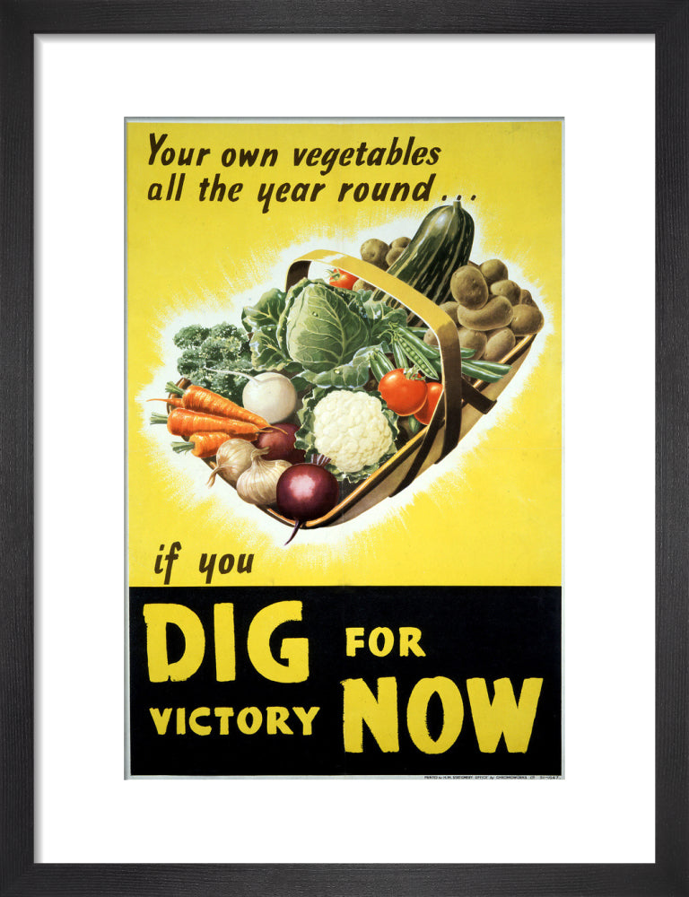 Your Own Vegetables All the Year Round if You Dig For Victory Now