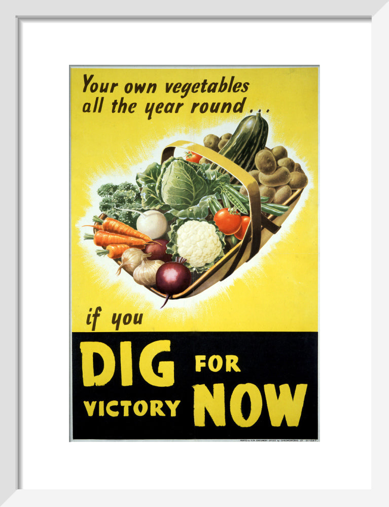 Your Own Vegetables All the Year Round if You Dig For Victory Now