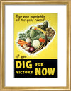 Your Own Vegetables All the Year Round if You Dig For Victory Now
