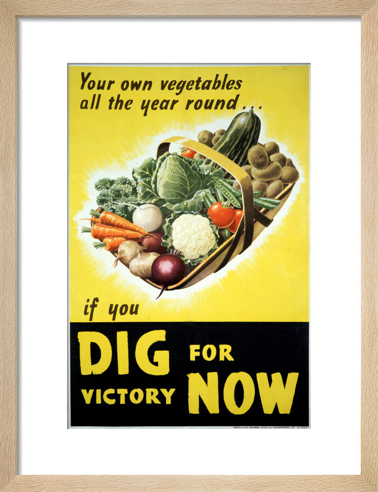 Your Own Vegetables All the Year Round if You Dig For Victory Now