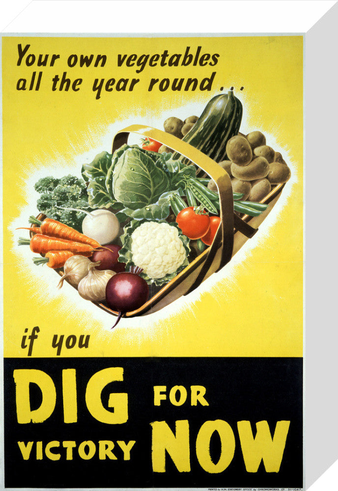 Your Own Vegetables All the Year Round if You Dig For Victory Now