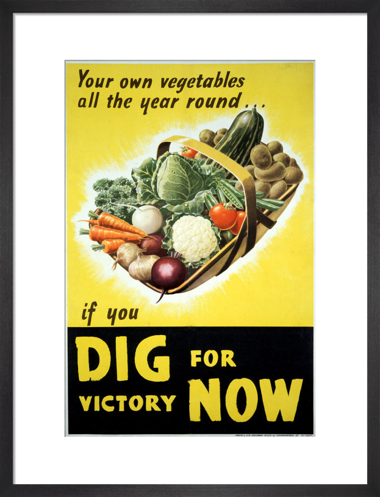Your Own Vegetables All the Year Round if You Dig For Victory Now