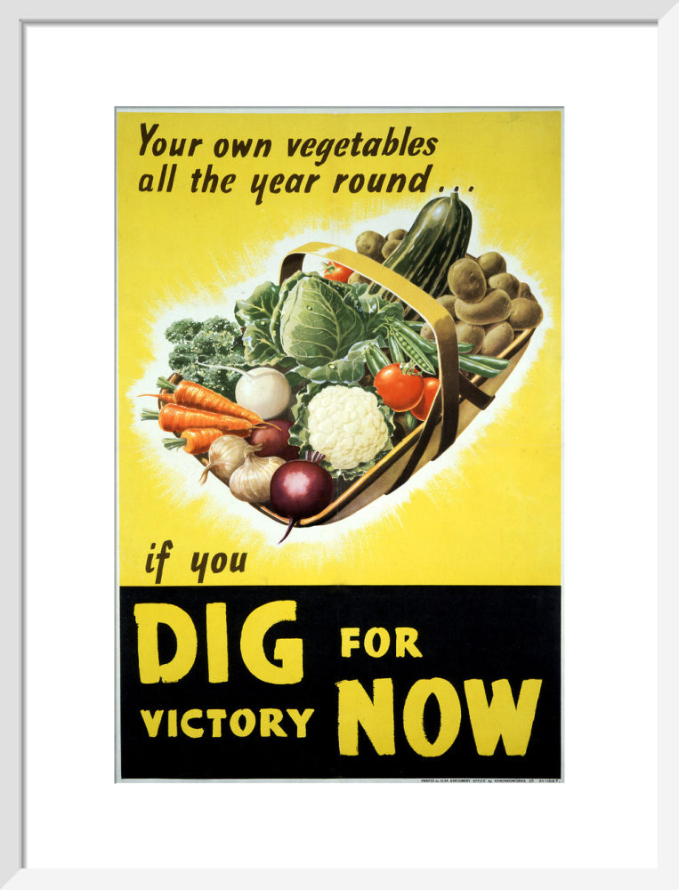 Your Own Vegetables All the Year Round if You Dig For Victory Now