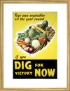Your Own Vegetables All the Year Round if You Dig For Victory Now
