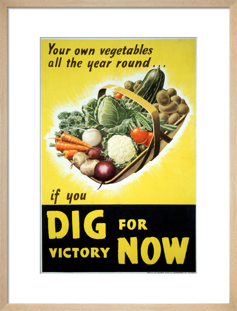 Your Own Vegetables All the Year Round if You Dig For Victory Now