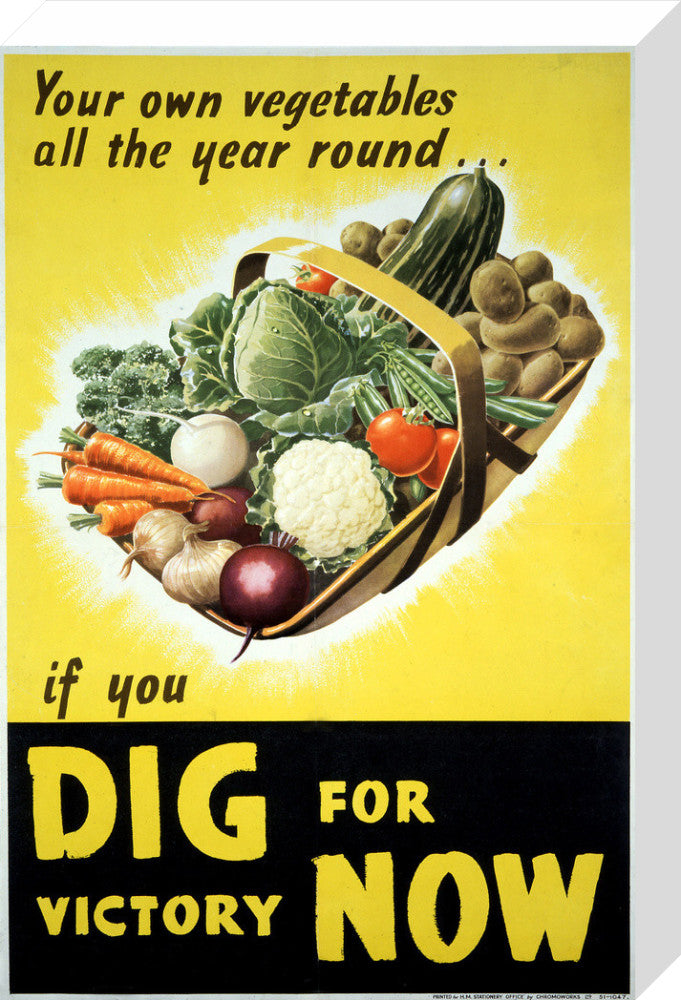 Your Own Vegetables All the Year Round if You Dig For Victory Now