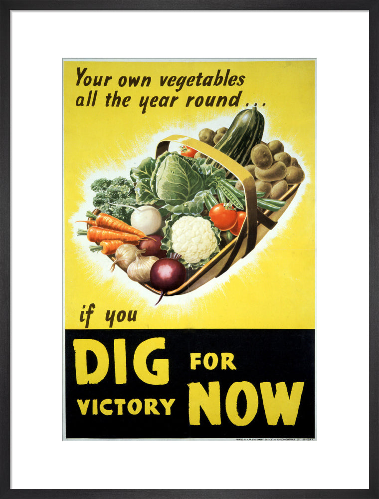 Your Own Vegetables All the Year Round if You Dig For Victory Now