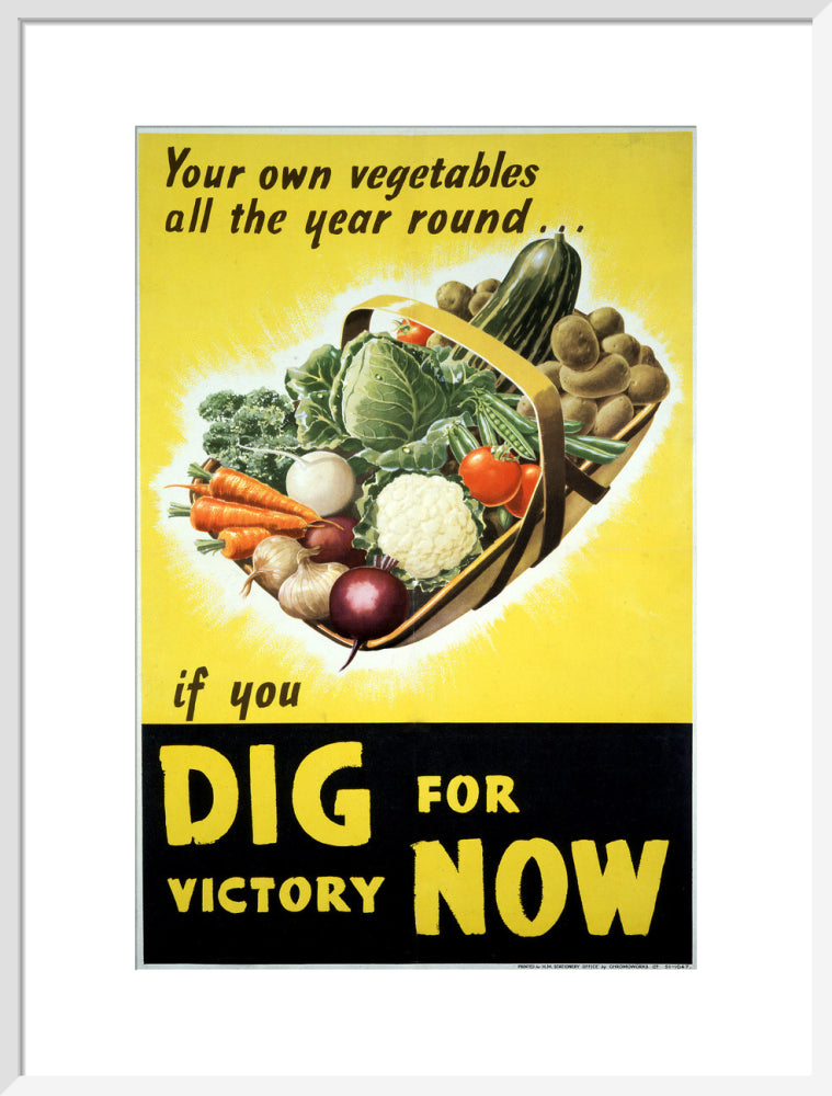 Your Own Vegetables All the Year Round if You Dig For Victory Now