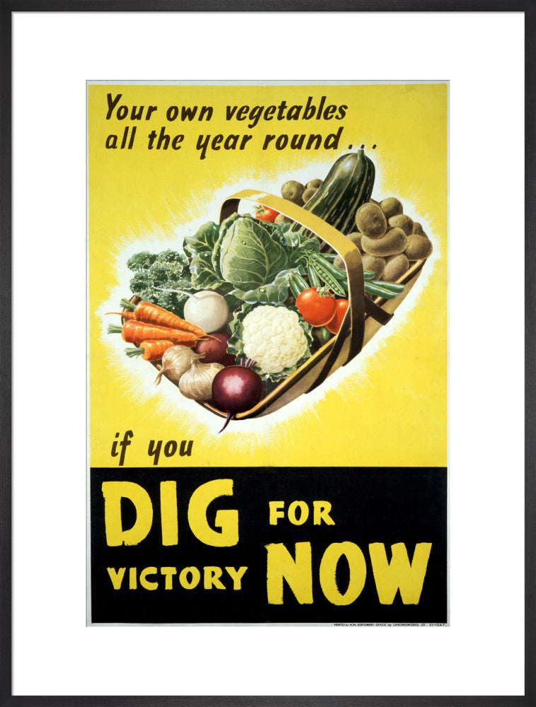 Your Own Vegetables All the Year Round if You Dig For Victory Now