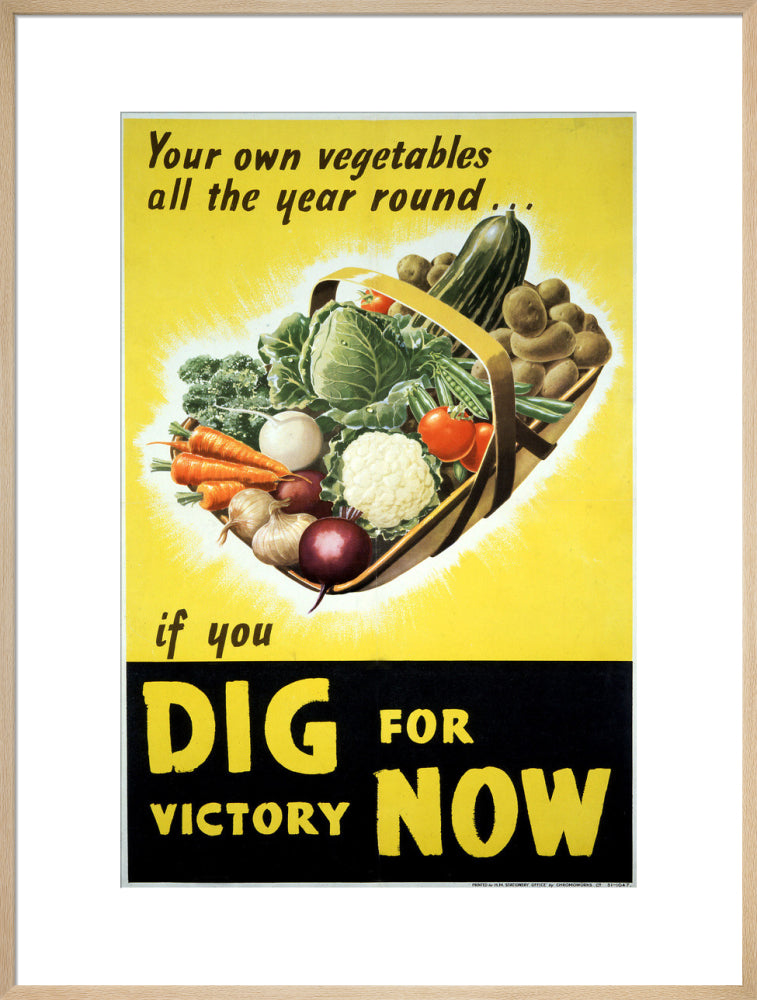 Your Own Vegetables All the Year Round if You Dig For Victory Now