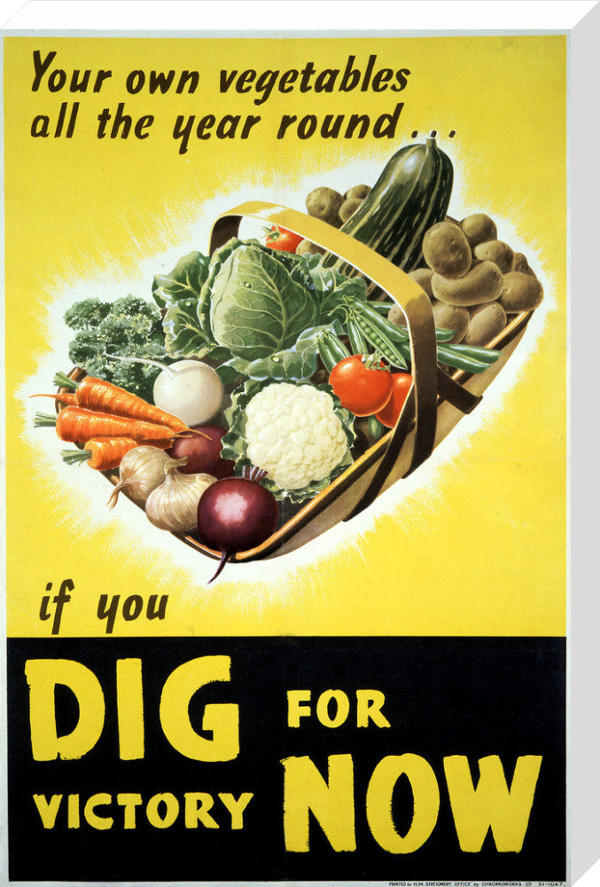 Your Own Vegetables All the Year Round if You Dig For Victory Now