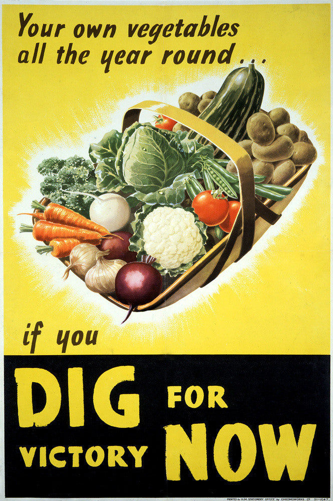 Your Own Vegetables All the Year Round if You Dig For Victory Now