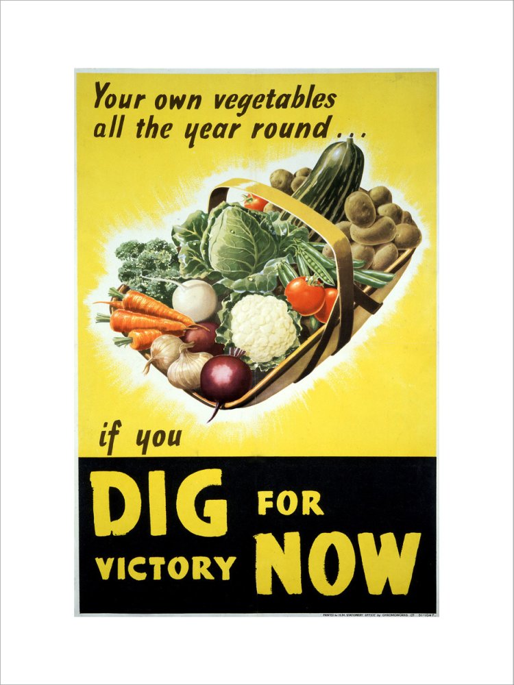 Your Own Vegetables All the Year Round if You Dig For Victory Now