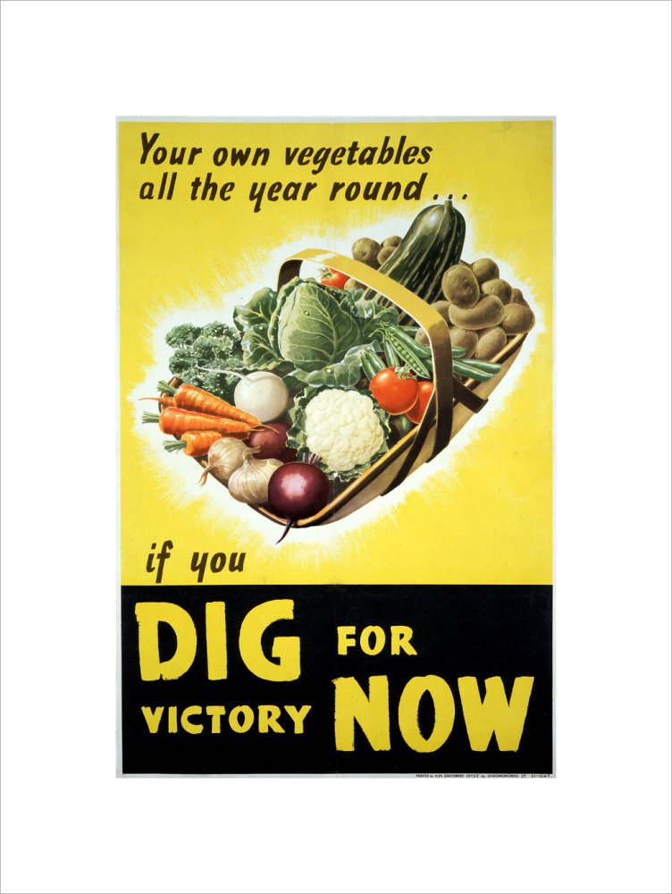 Your Own Vegetables All the Year Round if You Dig For Victory Now
