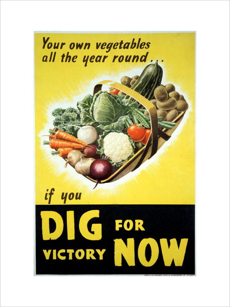 Your Own Vegetables All the Year Round if You Dig For Victory Now