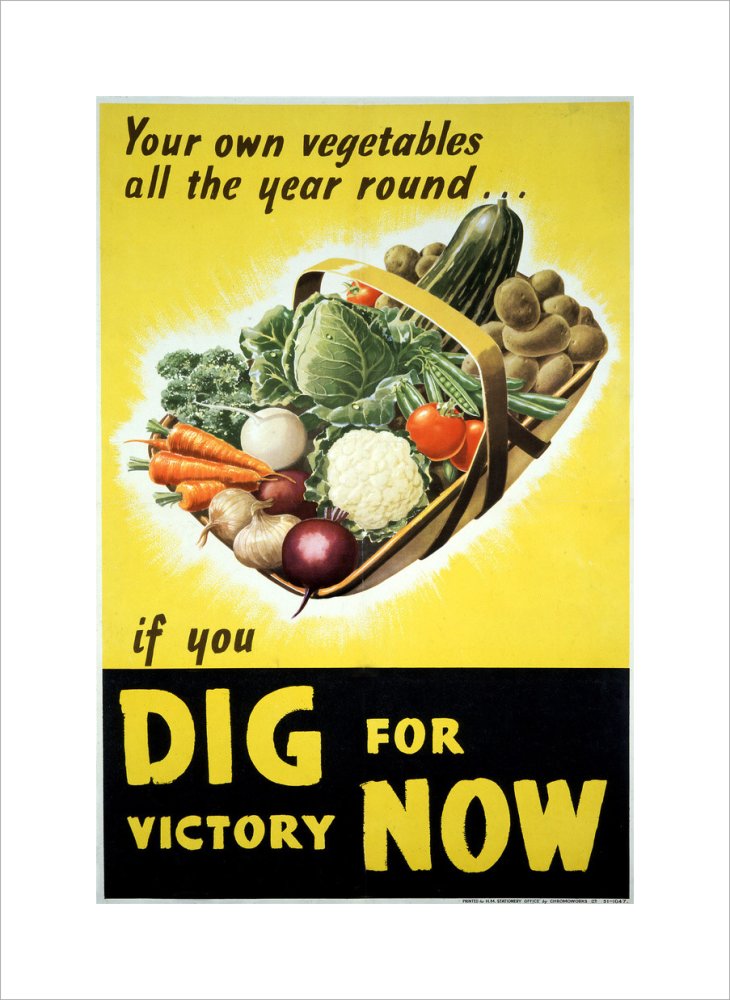 Your Own Vegetables All the Year Round if You Dig For Victory Now