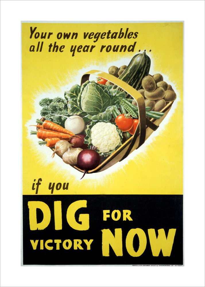 Your Own Vegetables All the Year Round if You Dig For Victory Now