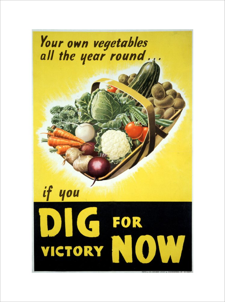 Your Own Vegetables All the Year Round if You Dig For Victory Now