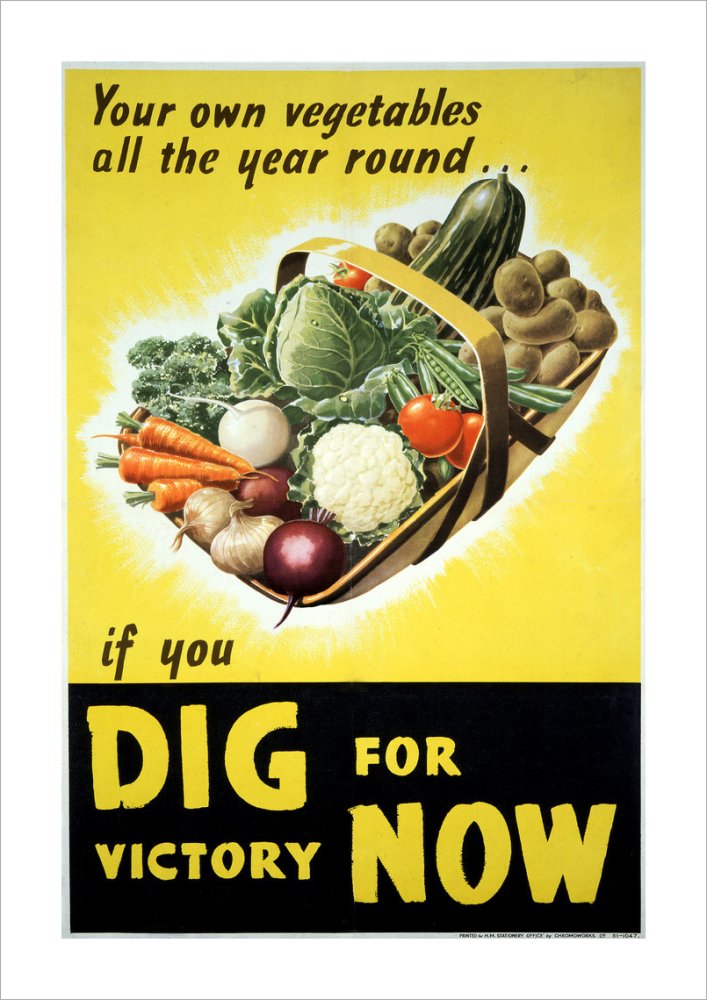 Your Own Vegetables All the Year Round if You Dig For Victory Now