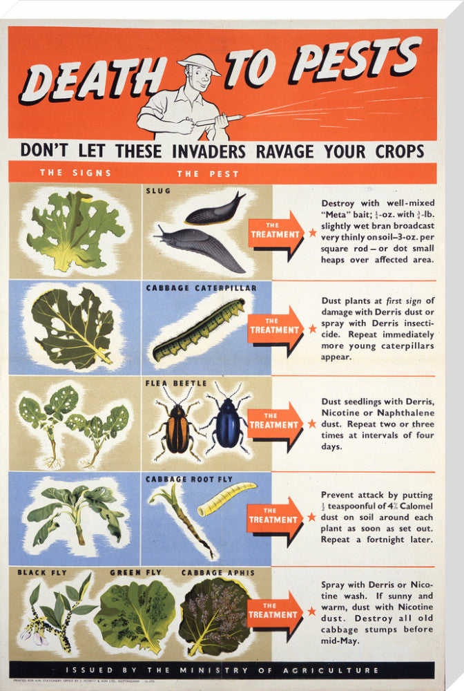 Death To Pests