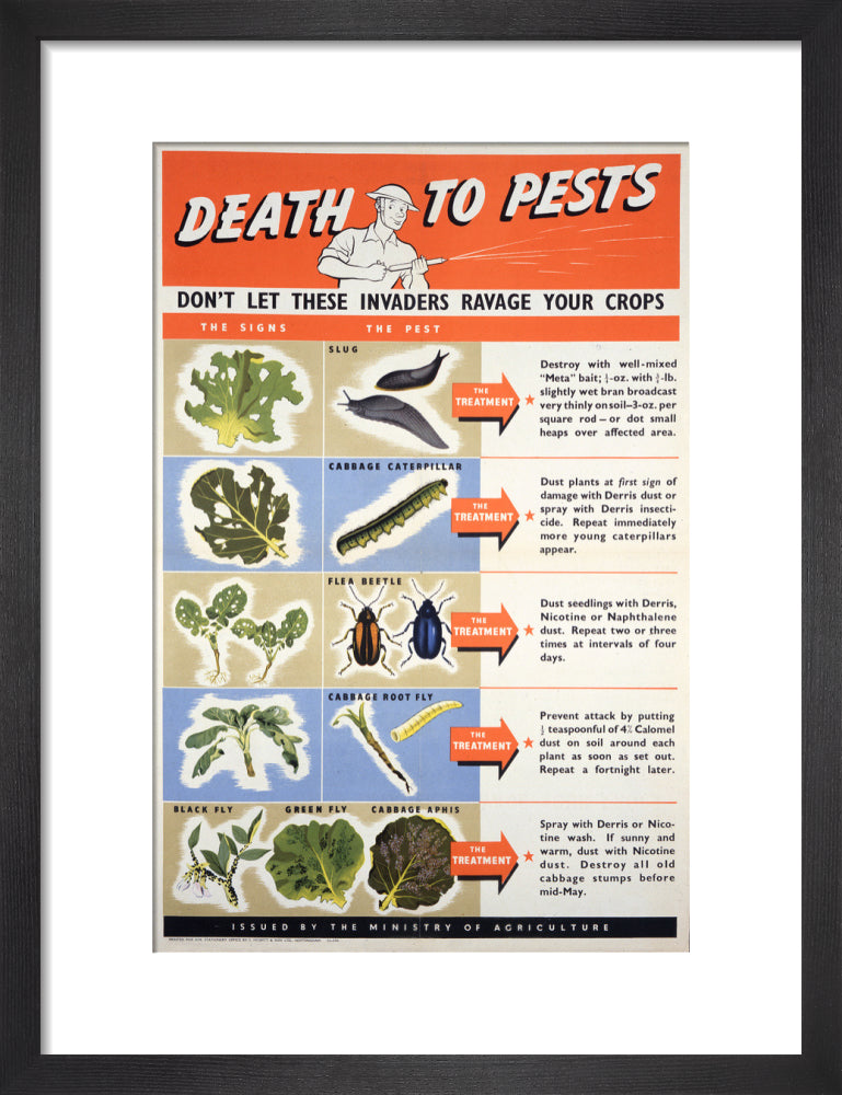Death To Pests
