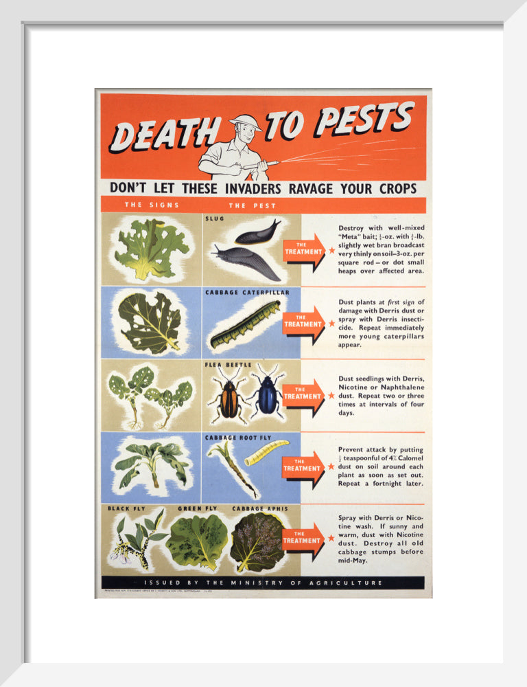 Death To Pests