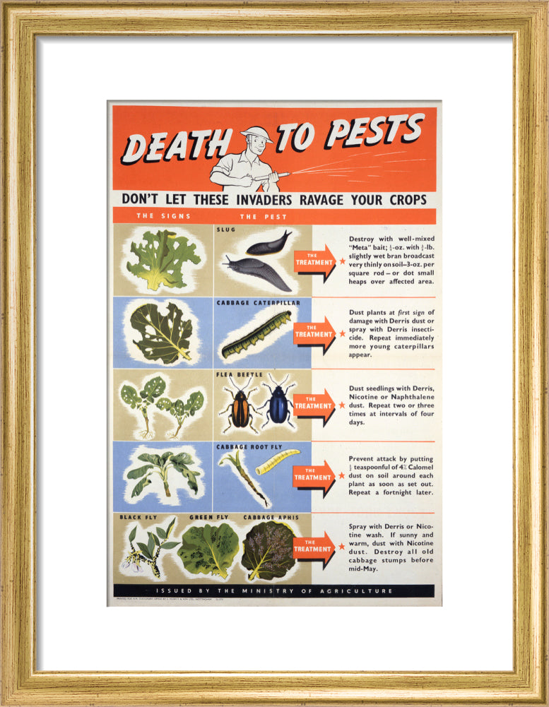 Death To Pests