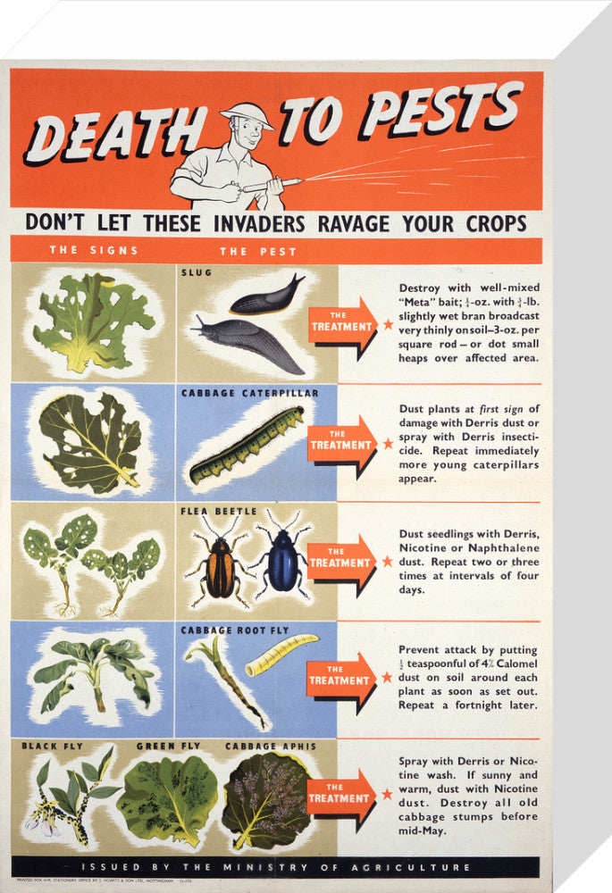 Death To Pests