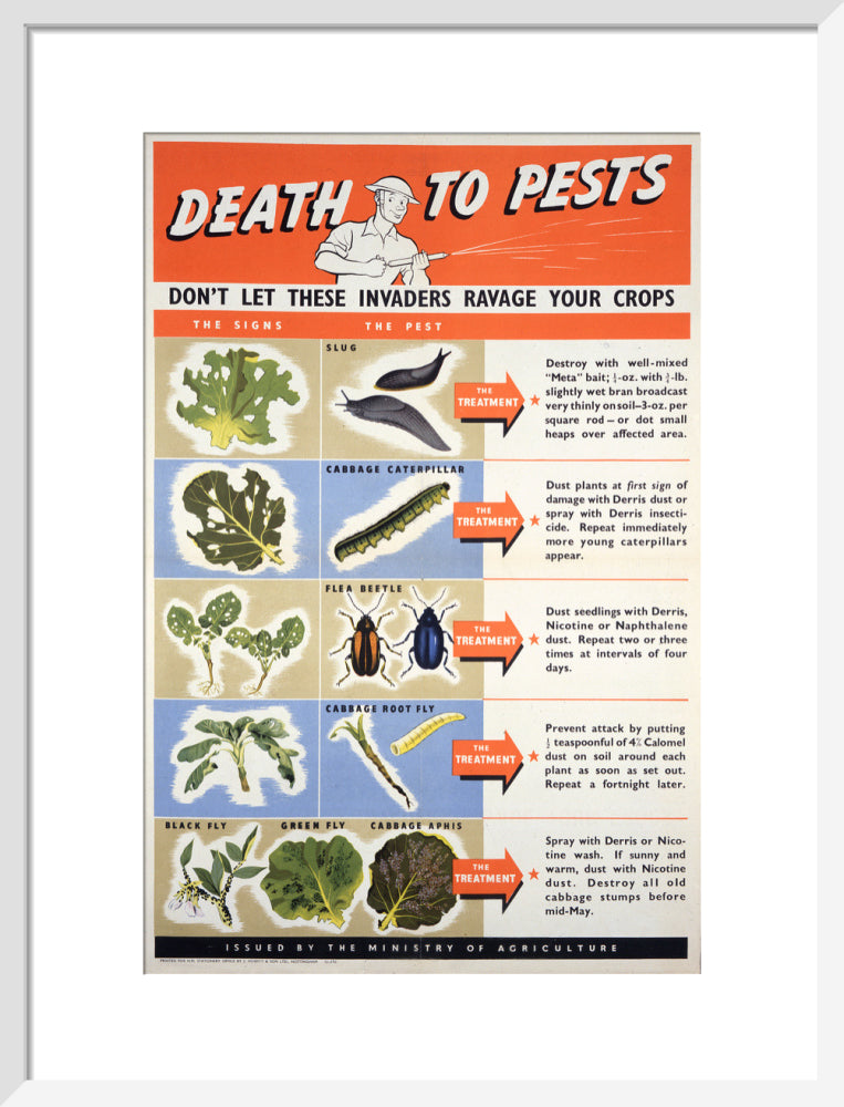 Death To Pests