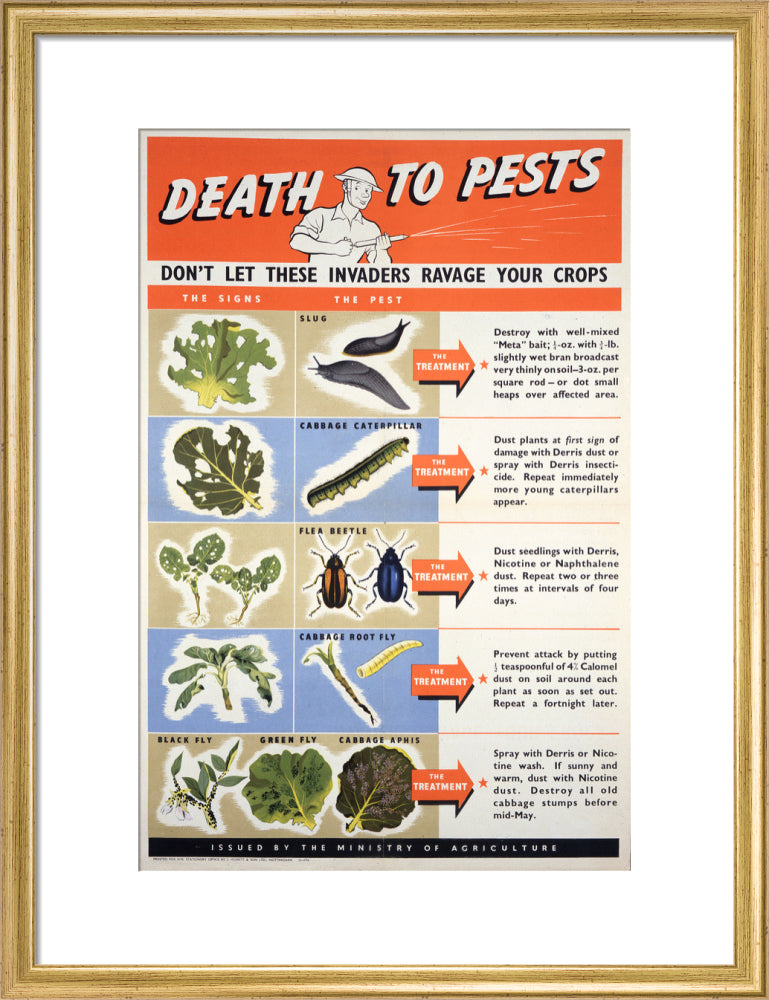 Death To Pests