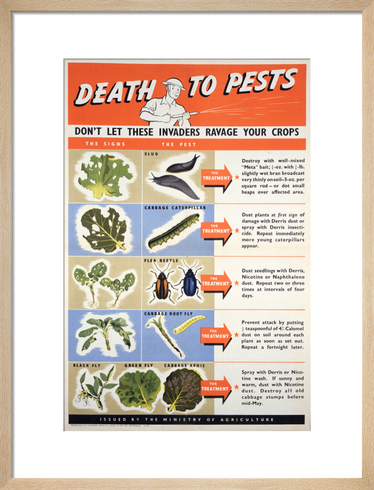 Death To Pests
