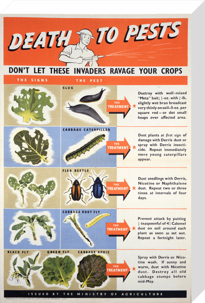 Death To Pests