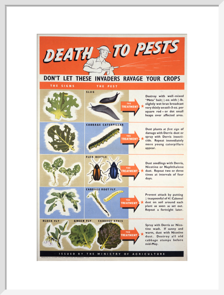Death To Pests
