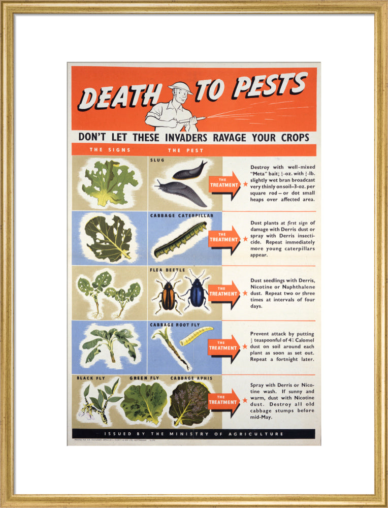 Death To Pests
