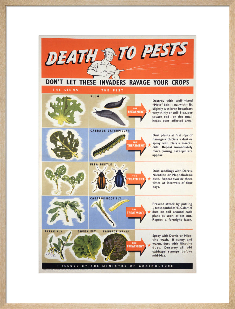 Death To Pests