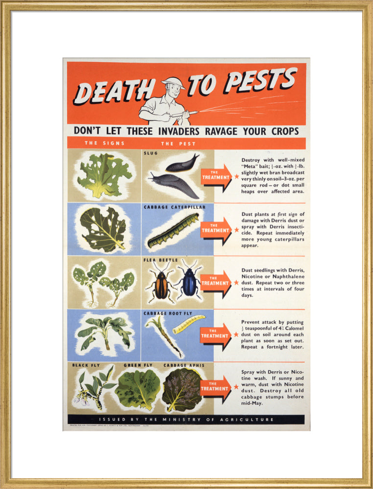 Death To Pests